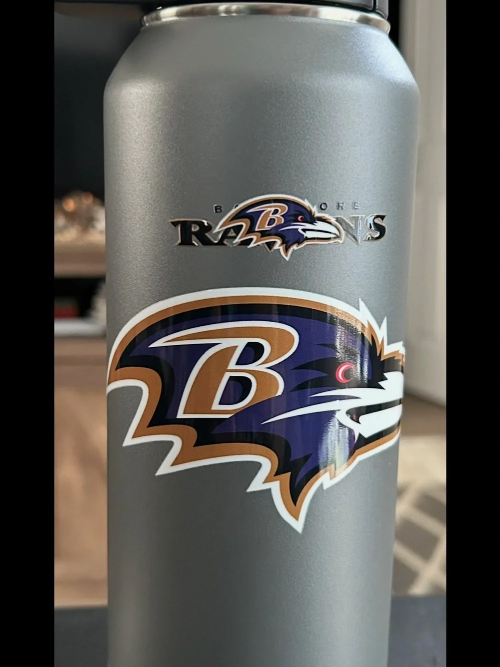 Baltimore Ravens Gray Stainless Steel Tumbler